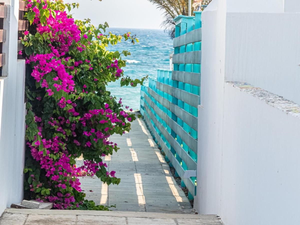 Greek Island Style 2 Bedroom Villa With Pool Next To The Sea ラルナカ エクステリア 写真